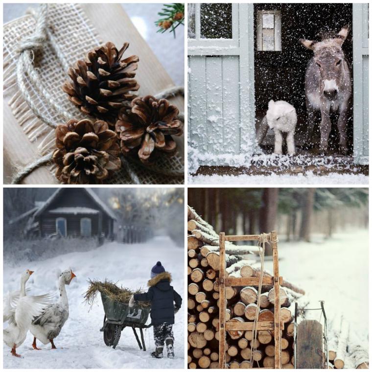 Зима в деревне: фотографии для вдохновения, фото № 1