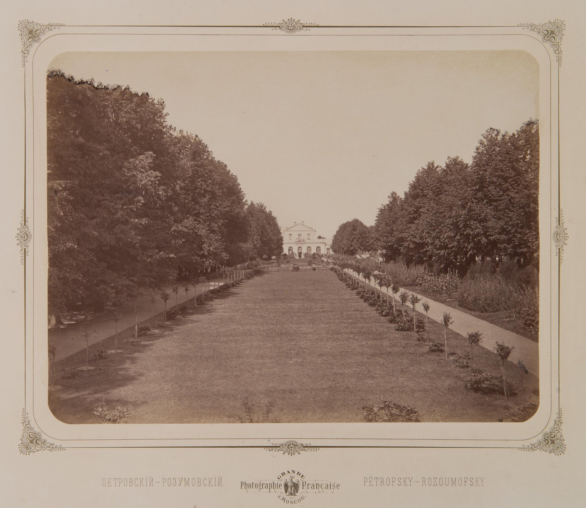 1870-е. Петровско-Разумовское, парковая аллея. ведущая к оранжире