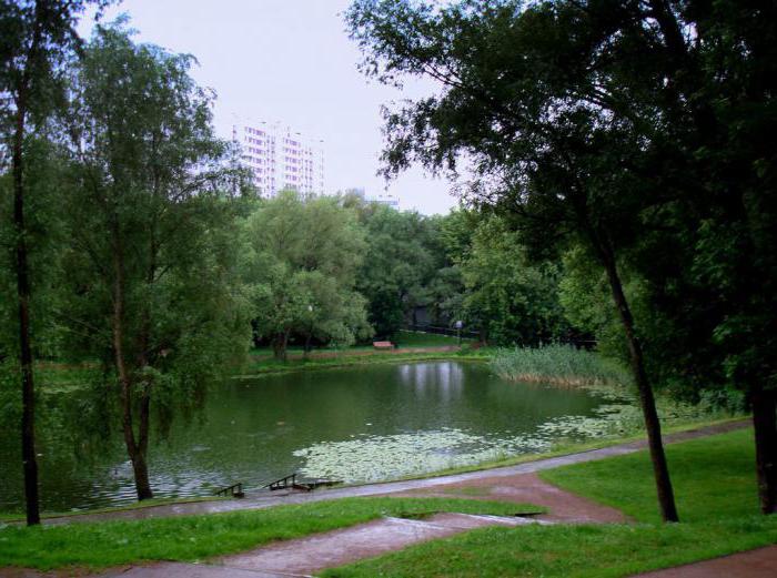 парк сад будущего