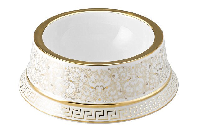 Italian luxury fashion company Versace, known for its red carpet dresses, is now selling dog bowls for £569