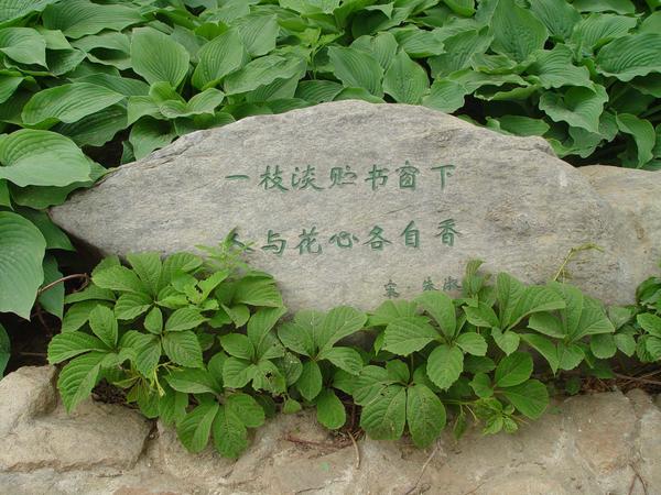 Надписи - непременный элемент каждого китайского сада